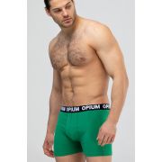 Мужские трусы боксеры R-152 Green